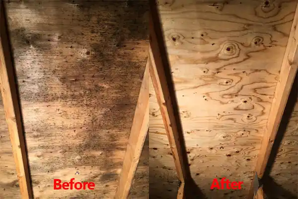 water damage restoration service Carter Springs